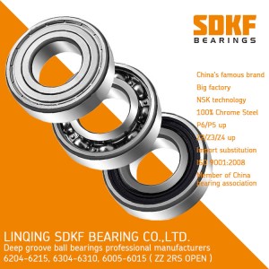 Auto High Precision Deep Groove Ball Bearing 6304-ZZ-2RS SDKF Brand