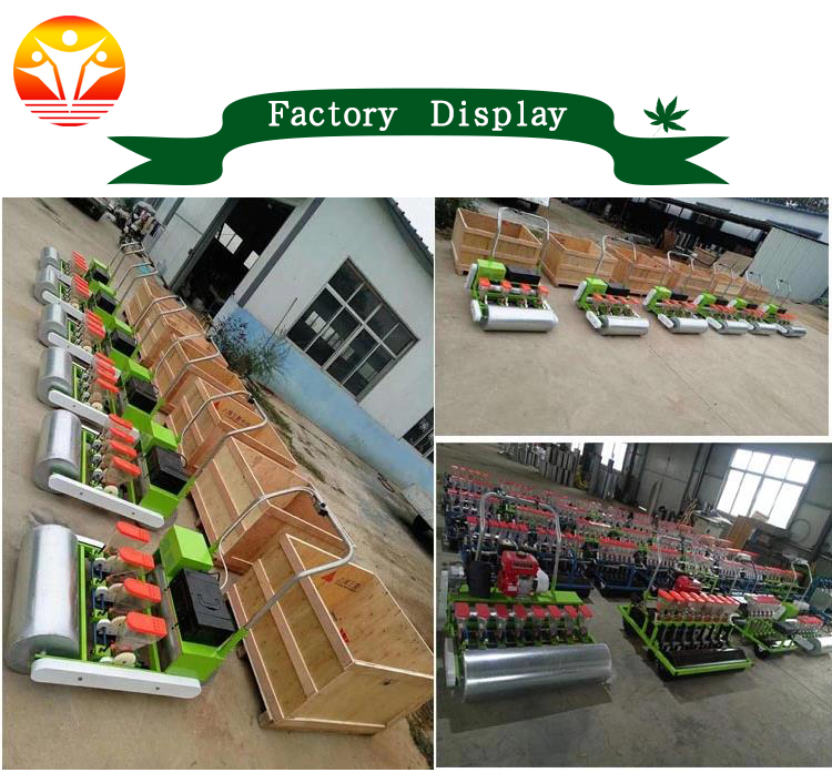 seeding machine factory.jpg