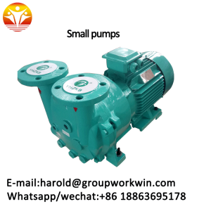 Small pump