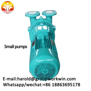 small  pumps