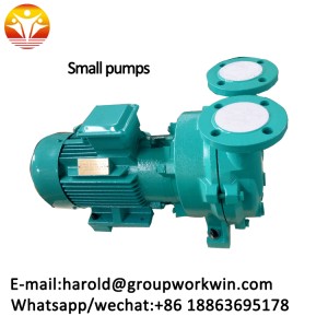 small  pumps