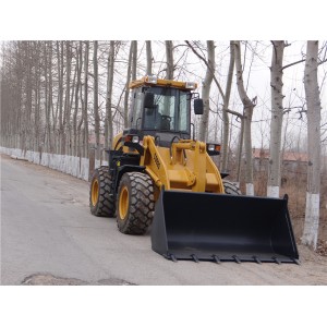 Multi Functions small wheel loader ZL20F